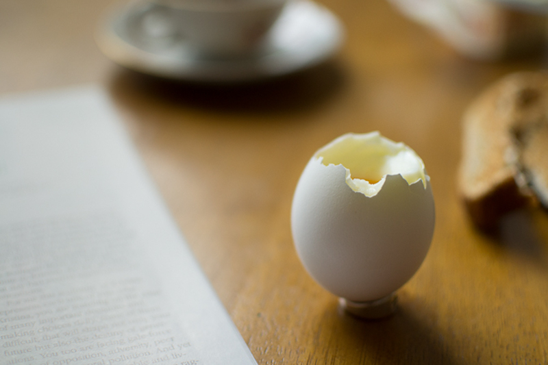 soft boiled egg
