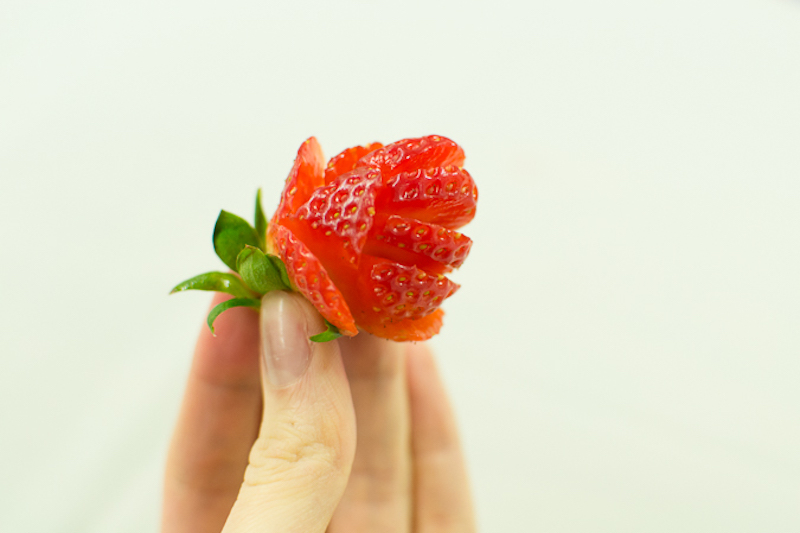 strawberry roses