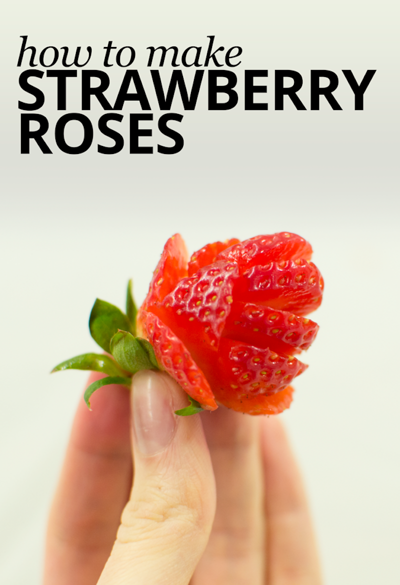 strawberry roses