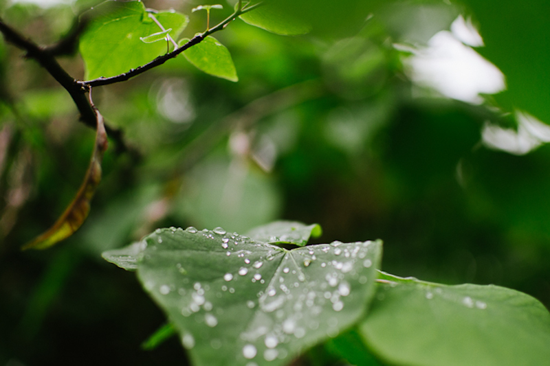 camping in the rain