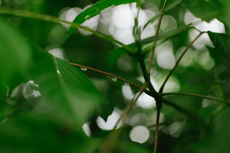 camping in the rain