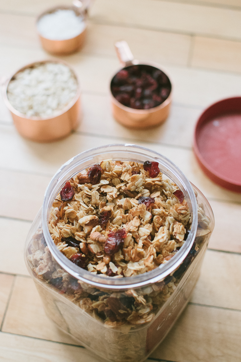 chunky cranberry coconut granola