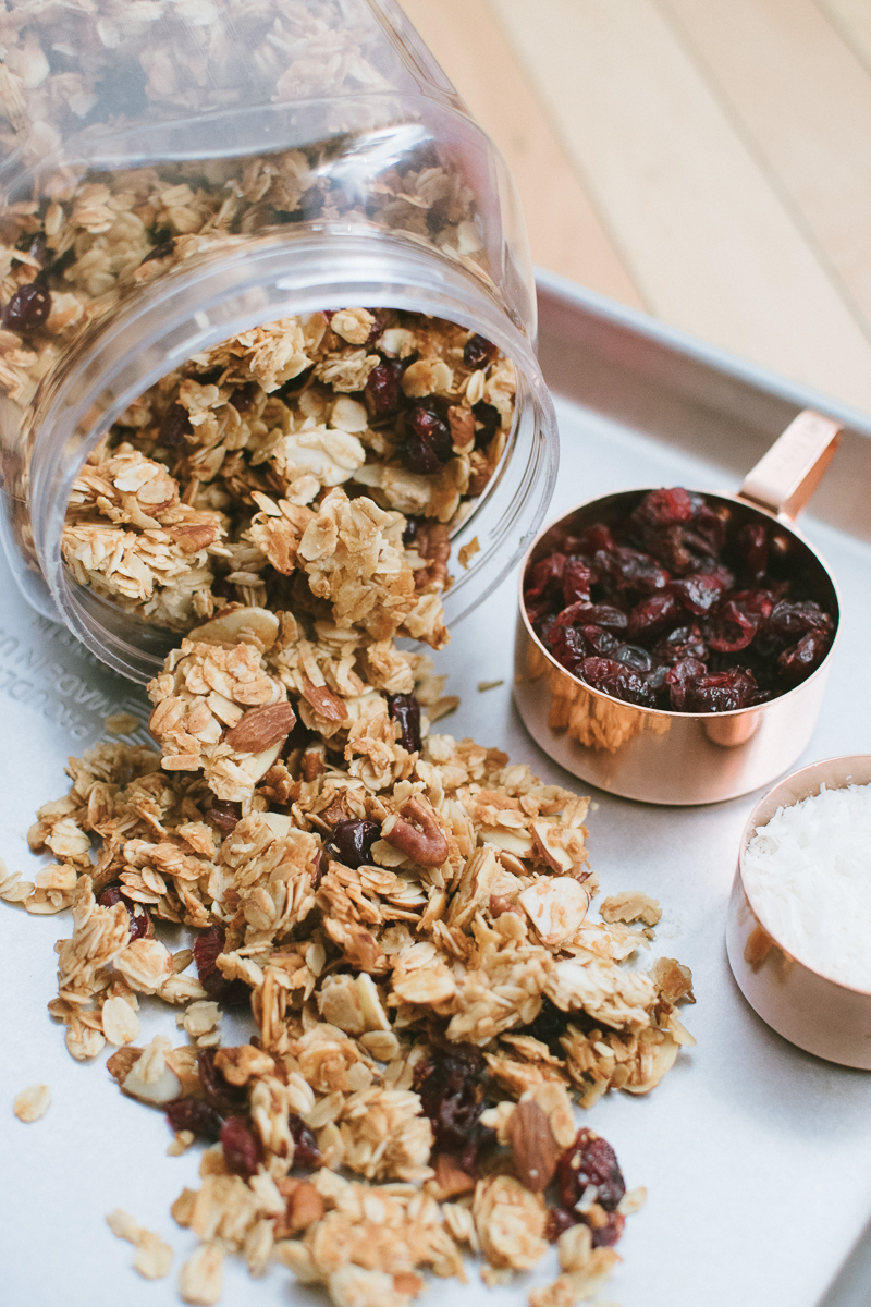 chunky cranberry coconut granola