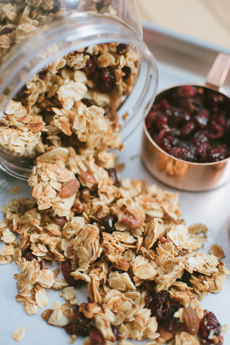 chunky cranberry coconut granola